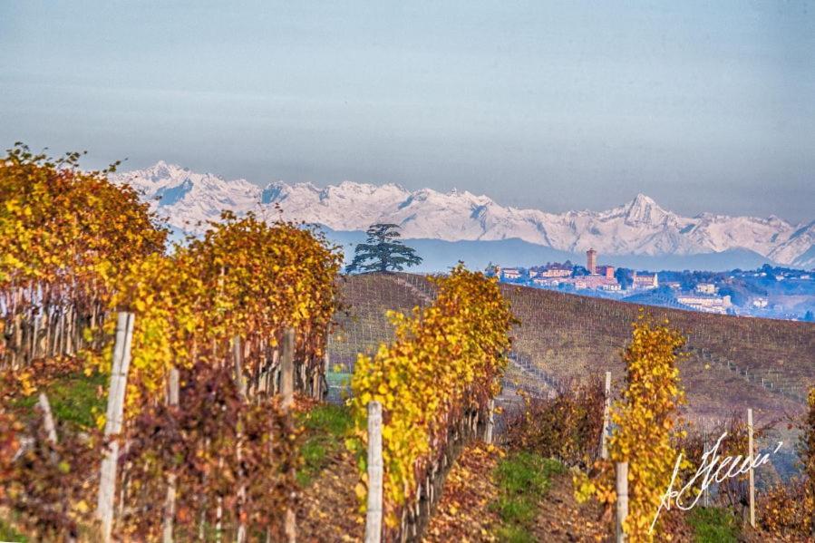 Cascina Rocca Agriturismo B&B La Morra Εξωτερικό φωτογραφία