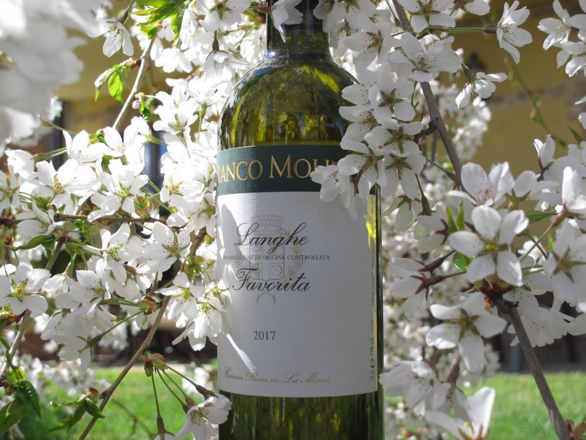 Cascina Rocca Agriturismo B&B La Morra Εξωτερικό φωτογραφία