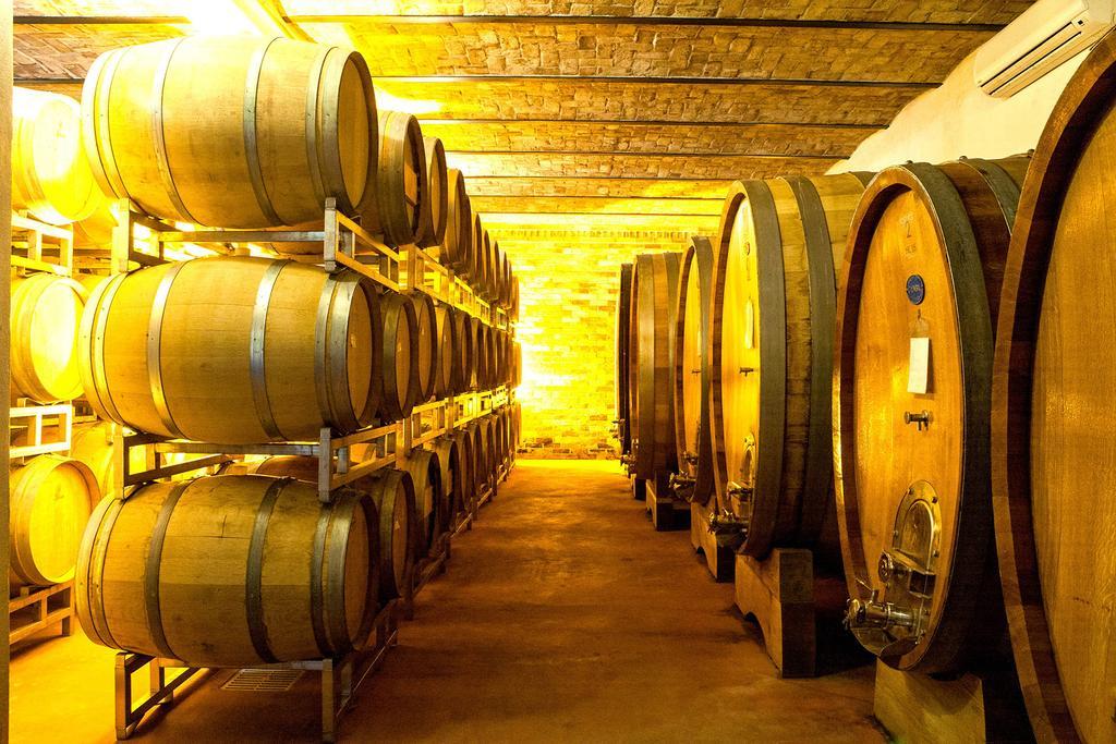 Cascina Rocca Agriturismo B&B La Morra Δωμάτιο φωτογραφία